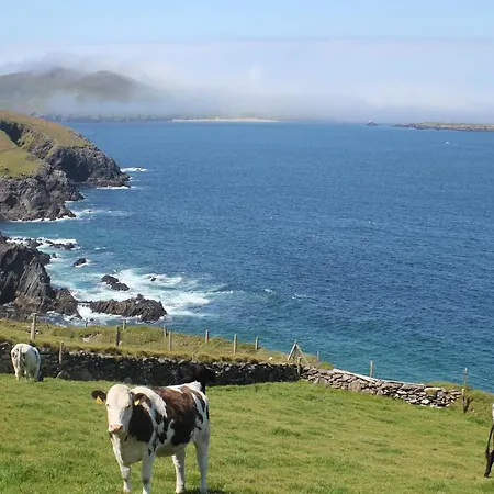 Σπίτι διακοπών Harbour 3 Bed Sleeps 7 By Trident Homes