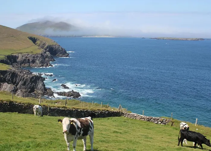 펜션 Harbour 3 Bed Sleeps 7 By Trident Homes